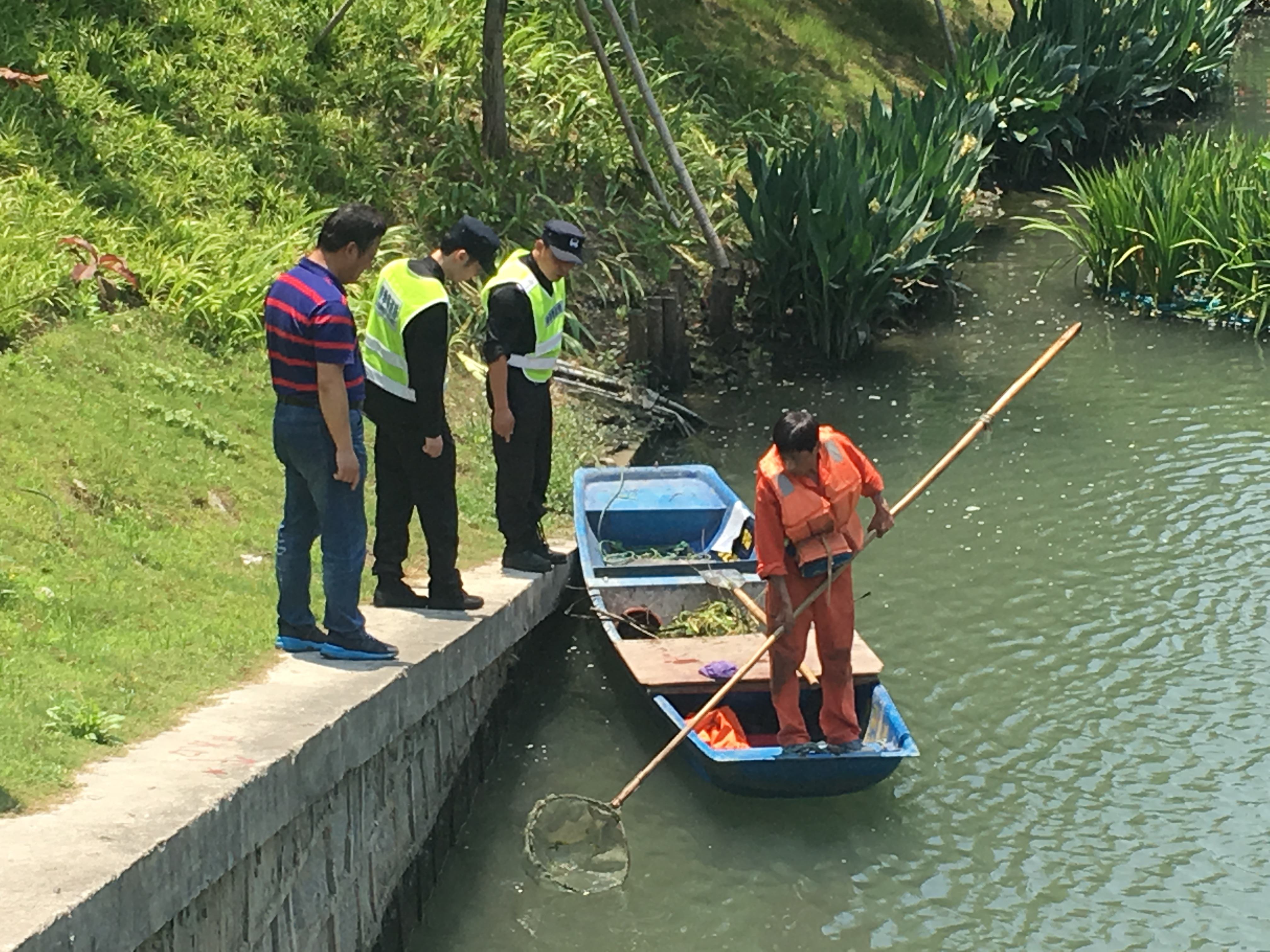 timg (1).jpg timg (1).jpg