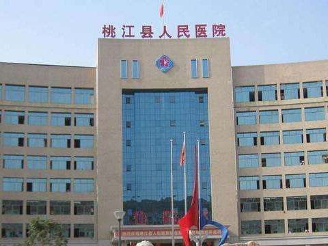 桃江中標(biāo).jpg
